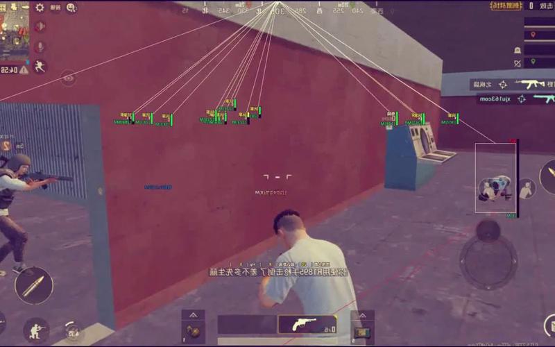 和平精英辅助软件的发展与影响分析